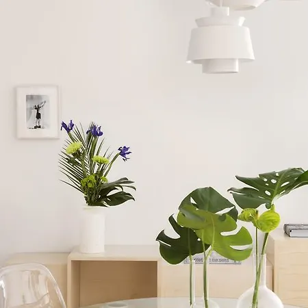 Apartment Halcyon Days Designer By Ana Locking Malaga